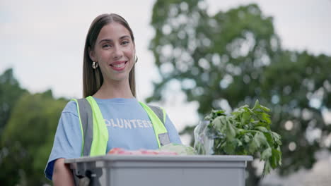 voluntario de la ciudad, donación de alimentos