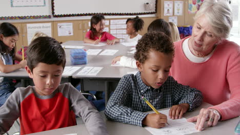 senior teacher helping young schoolboys with class work