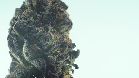 Makro-Nahaufnahme-Einer-Marihuana-Sativa-Sauer-Diesel-Blüte-Mit-Trichomen,-Grünem-Und-Violettem-Kush-Auf-Einem-Rotierenden-Ständer,-4k-Video-In-Zeitlupe