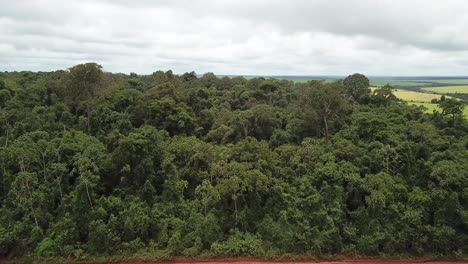 aerial image reveals the amazon rainforest to the soybean plantation