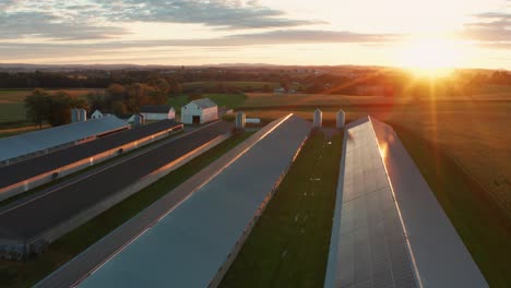 Solar-panels-on-rooftop-of-chicken-house