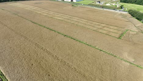 Campo-De-Grano-En-Dinamarca-A-Lo-Largo-De-La-Carretera,-Paso-Elevado-Bajo-Que-Se-Eleva-Para-Revelar-La-Ciudad