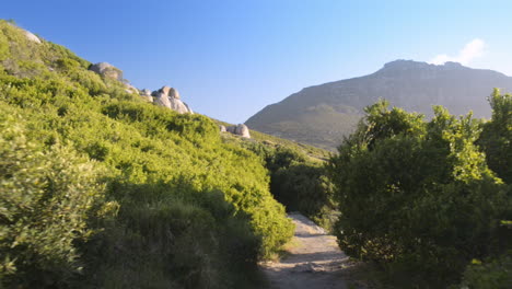 sendero de playa bahía de arena paseo costero