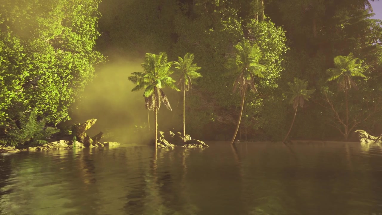 Palme tranquille riflesse dolcemente sull'acqua.