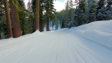 Tiro-Pov-De-Un-Snowboarder-Montando-A-Través-De-Una-Estación-De-Esquí