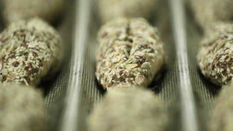 bread dough with healthy multigrain seeds on a stainless baguette tray. - rack focus shot