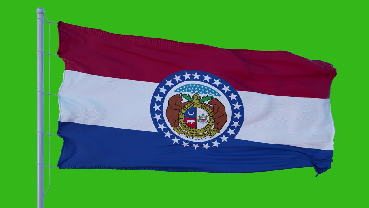 미주리 주 발이 녹색 화면 배경에 바람에 흔들리고 있습니다.