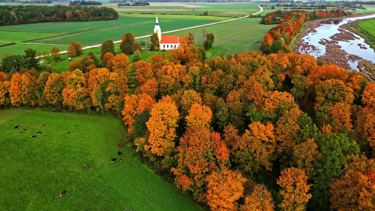 Aerial View of a Church in an Autumn Forest
