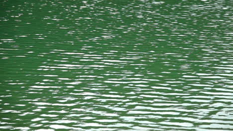 Primer-Plano-De-Patrones-Ondulados-Que-Se-Mueven-A-Cámara-Lenta-En-El-Agua-Del-Lago-De-Color-Verde