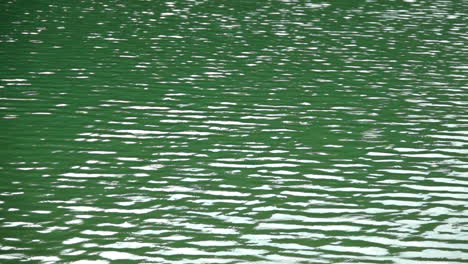 primer plano de patrones ondulados que se mueven a cámara lenta en el agua del lago de color verde