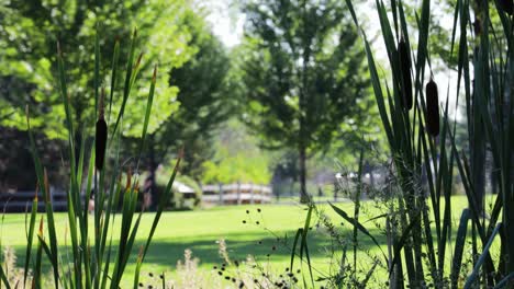 Left-to-right-movement-in-vibrant-park-as-people-walk-by-in-background