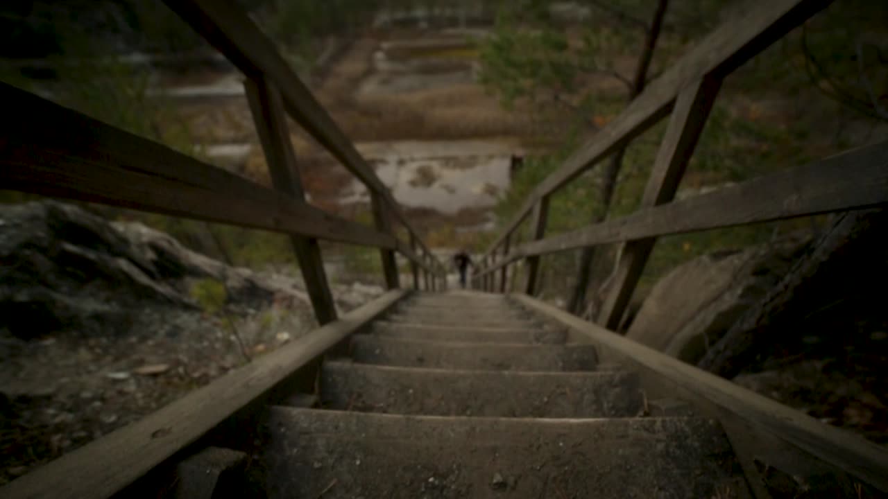escalera de madera en un bosque