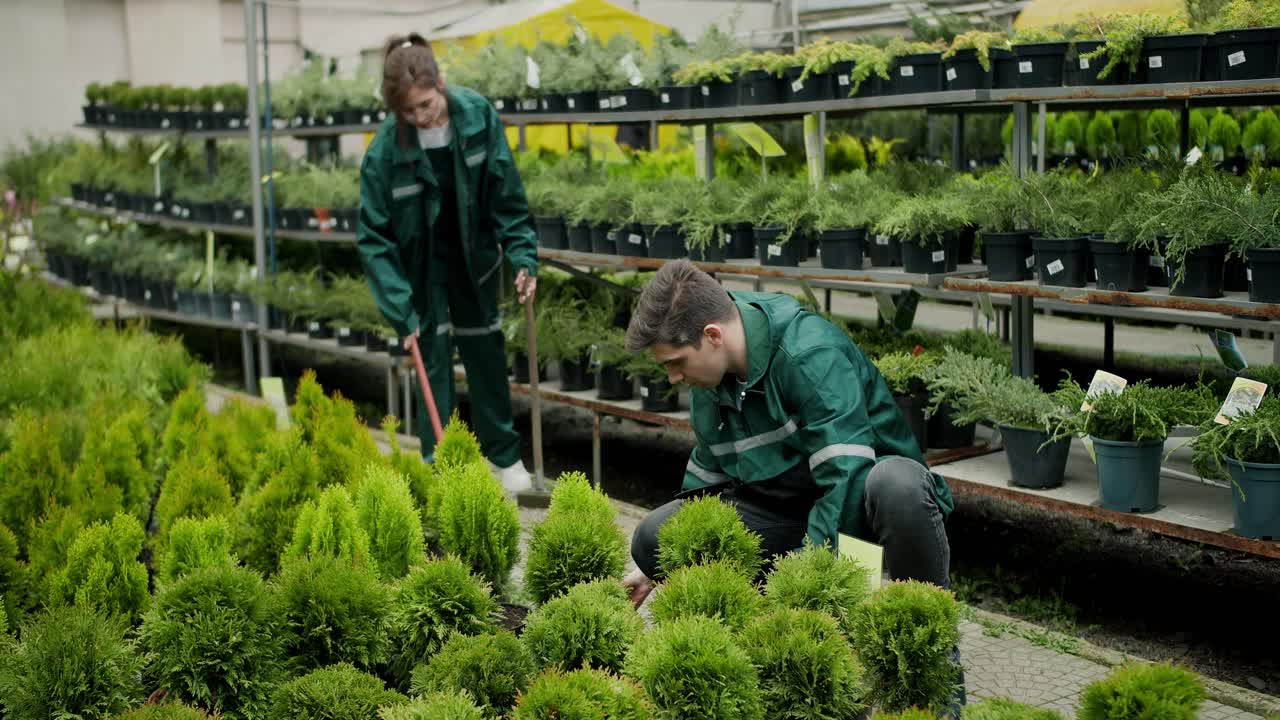 guardianes de la vegetación: trabajadores dedicados en una floristería