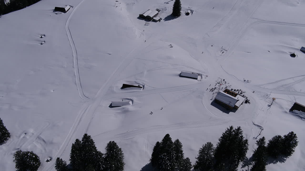 Fly over trees and you have a beautiful view to the snow.You see some people doing winter sports