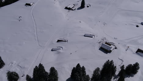 fly over trees and you have a beautiful view to the snow.you see some people doing winter sports