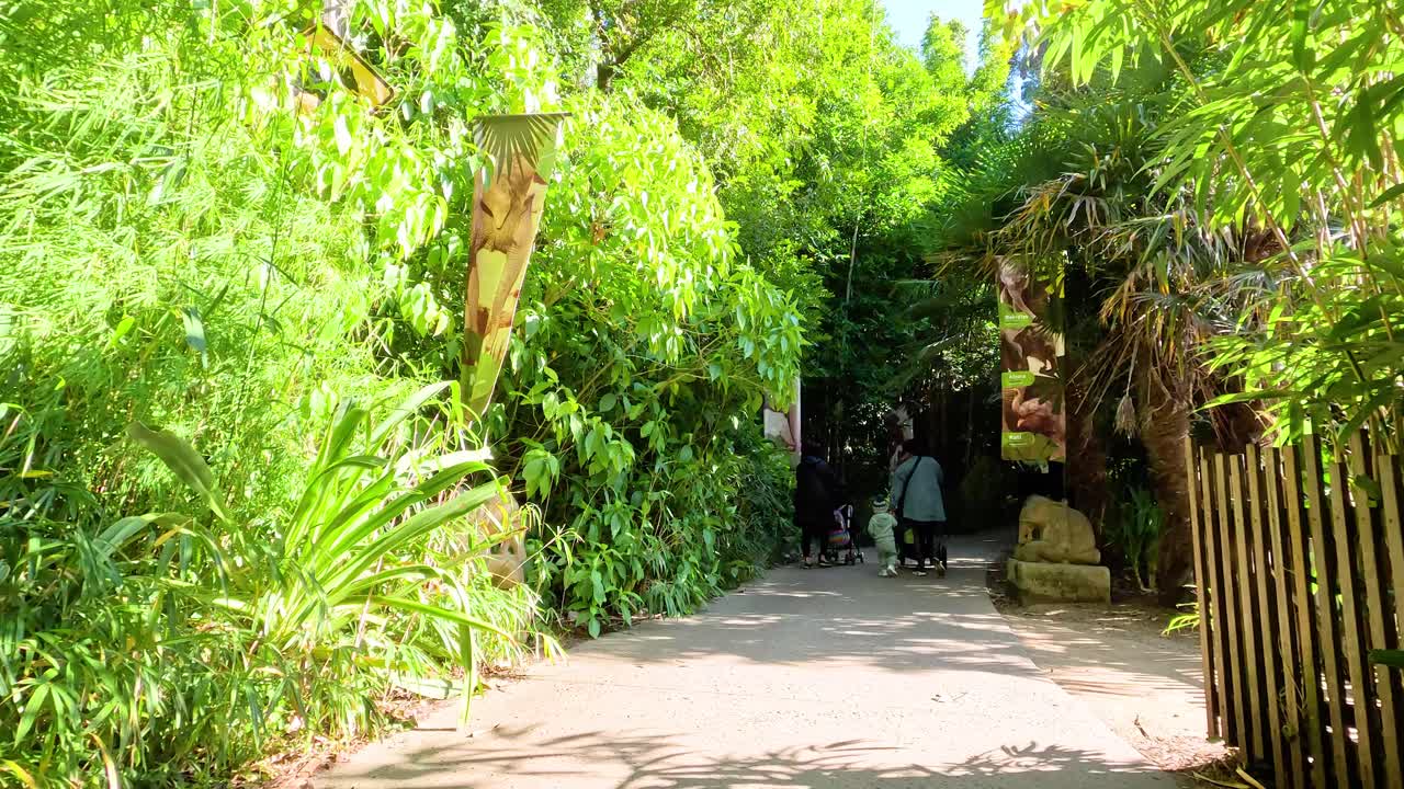 los visitantes caminan por el exuberante y verde sendero del zoológico.