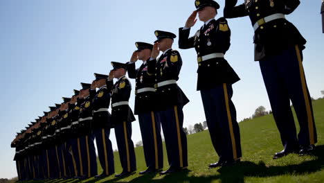 military personnel in uniform saluting in formation on a grassy field
