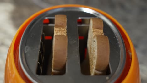 close-up of two pieces of bread toast popping up in a toaster