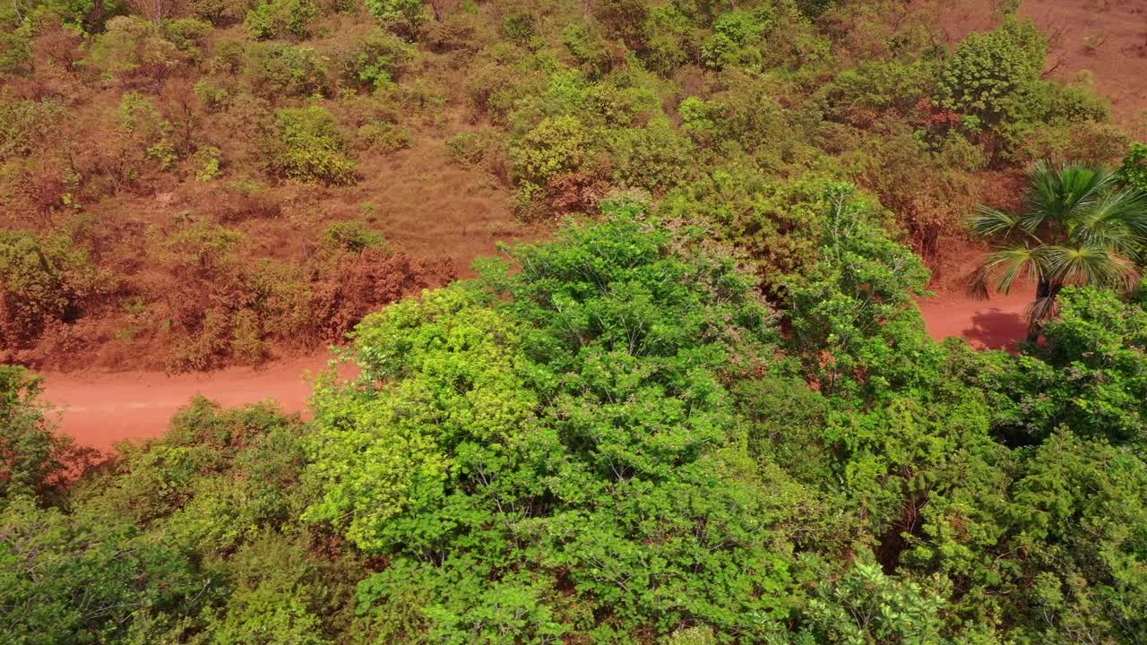 Drone aerial follows 4x4 pickup cerw cab truck on terra roxa dirt road cutting through cerrado vegetation low shrub strata, campo dry grassland, with red latosol exposed soil