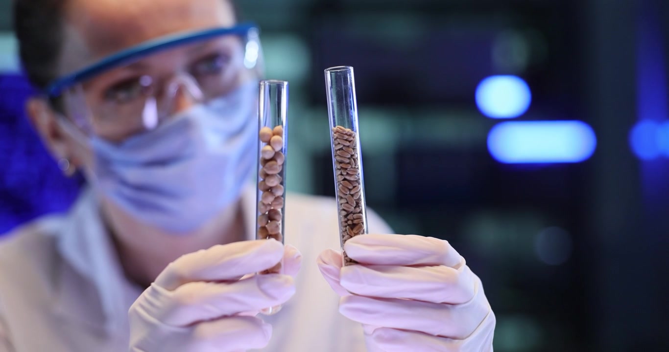 Scienziata confronta campioni granulari in provette in laboratorio.