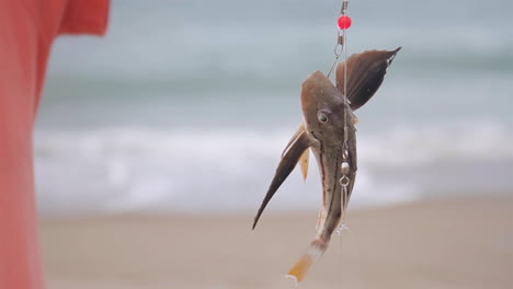 fish hangs from hook of fishing rod and moves around on beach coastline