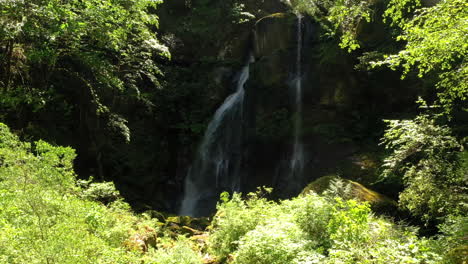streams from rocky valley surrounded by green foliage at elk creek falls in oregon