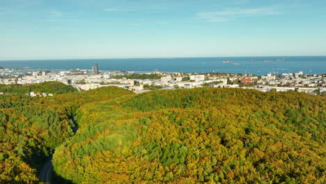 long straight road through vibrant autumn forest, various vehicles traveling along, aerial view emphasizing symmetry and foliage colors in gdynia, poland