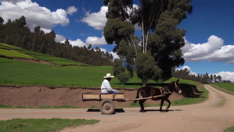 man on donkey cart in andean fields