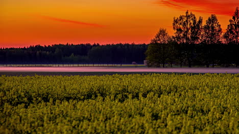 timelapse of mist and fog rolling over farmland and field at sunset