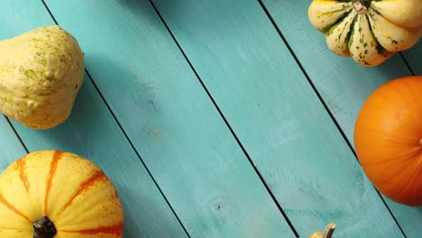 big yellow pumpkins in circle