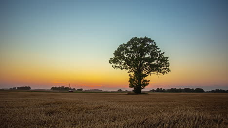 Ein-Goldener-Zeitraffer-Von-Sonnenuntergang-Bis-Dämmerung-In-Einer-Ländlichen-Landschaft-Mit-Einem-Baum-Als-Silhouette