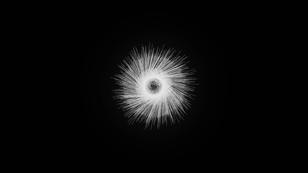 검은 바탕에 폭발하는 불꽃놀이