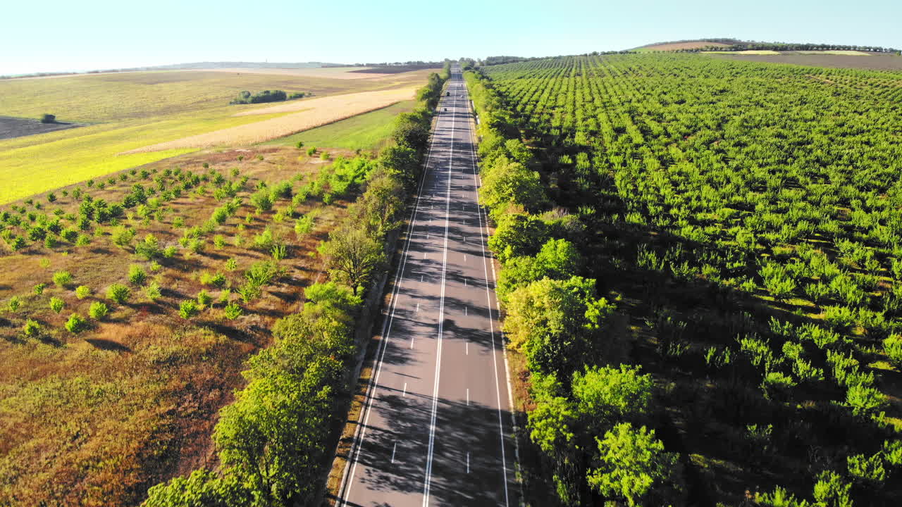 Vista aérea de un dron de una carretera con un coche en movimiento en las tierras altas. Campos verdes y colinas de la parte norte de Moldavia.