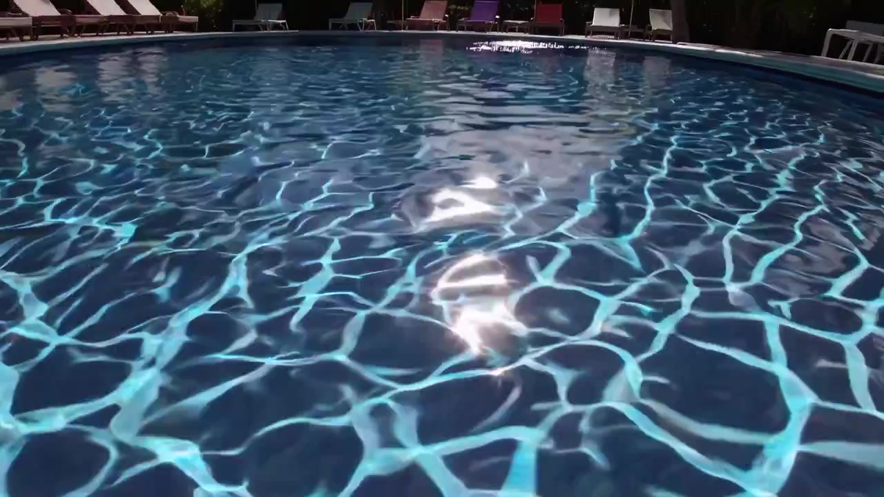 Tropisk resort swimmingpool med glitrende blåt vand og palmer