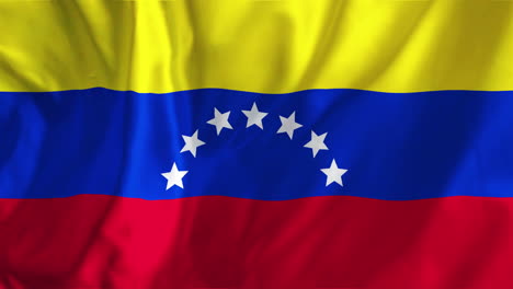 animation of waving flag of venezuela