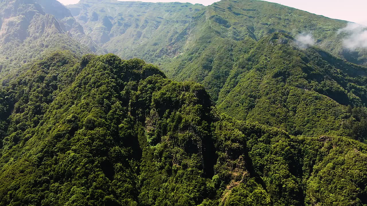 vista aérea del bosque tropical exuberante en la isla de madeira portugal - disparo de drones