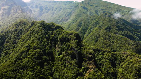 葡萄牙馬德拉島熱帶茂密森林的空中圖片 - 無人機拍攝