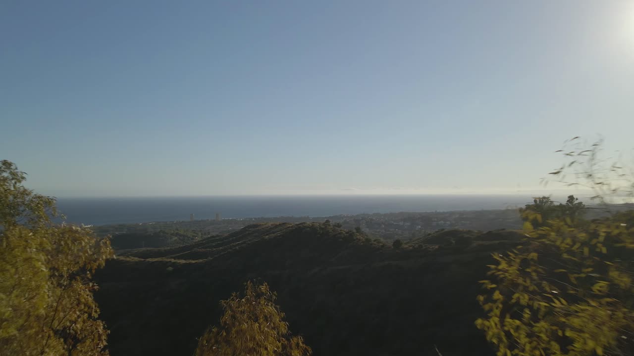 나무 사이 뒤로 움직이는 공중 풍경