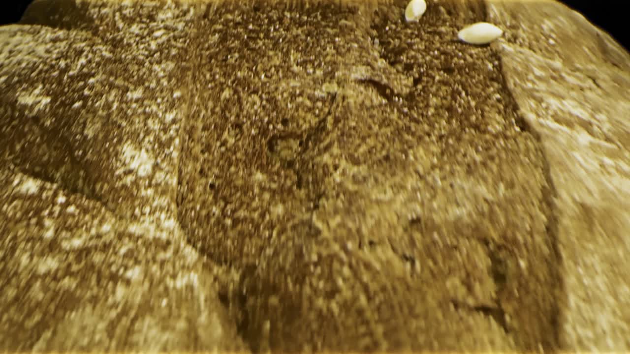 표면에 흘린 곡물