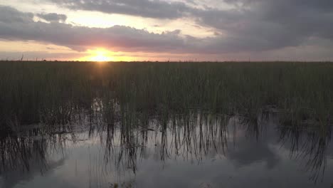 Hermosa-Puesta-De-Sol-En-Los-Everglades-Del-Sur-De-Florida-Con-Pasto-Verde-Y-Agua-Quieta