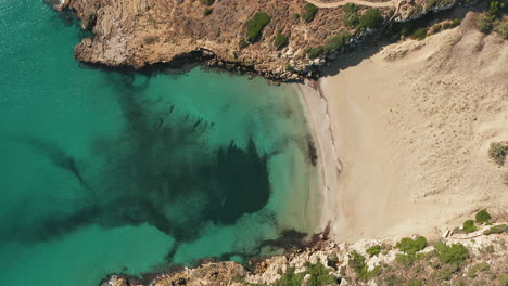 Turquoise-Sea-And-Empty-Sandy-Beach-Of-Calamosche-In-The-Oasis-Of-Vendicari-In-Sicily,-Italy