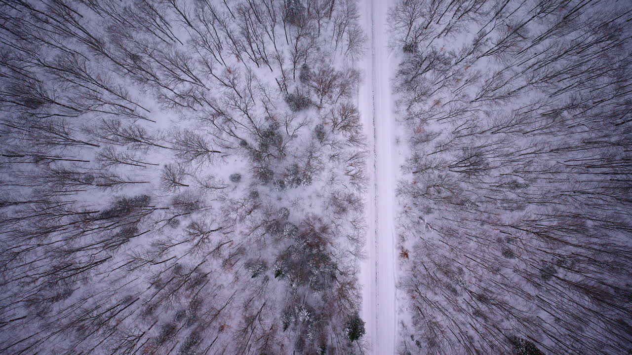 Vista aerea con drone ad alta quota che riprende un paesaggio invernale