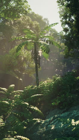 un bosque tropical exuberante y verde con el sol brillando a través de los árboles