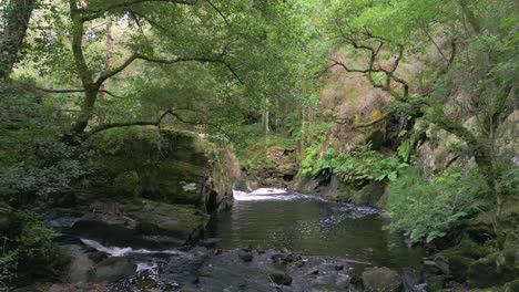 Felsiger-Fluss-Flussabwärts-über-Regenwald-Im-Refugio-De-Verdes,-Coruña,-Spanien