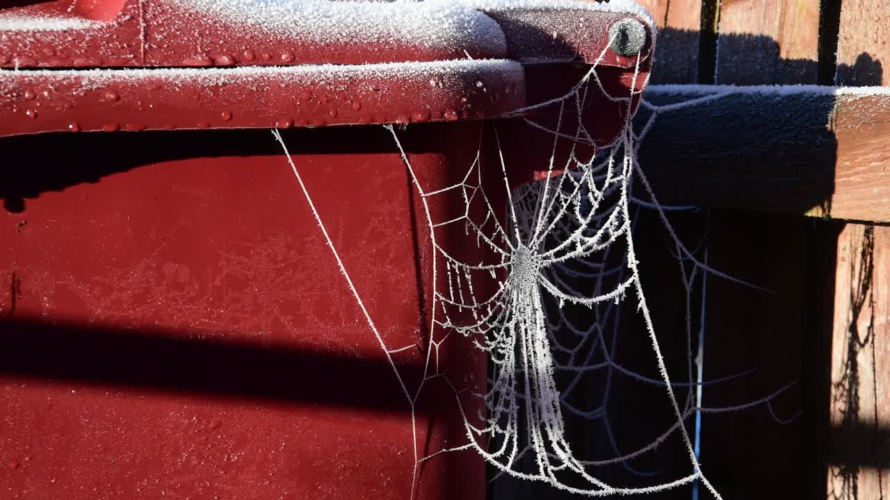 A huge frozen spider cobweb on a recycling bin