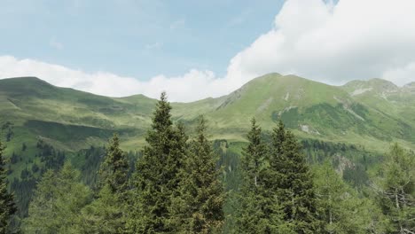 high-resolution aerial imagery of densely vegetated valley in the sölktäler mountain range of styria in austria