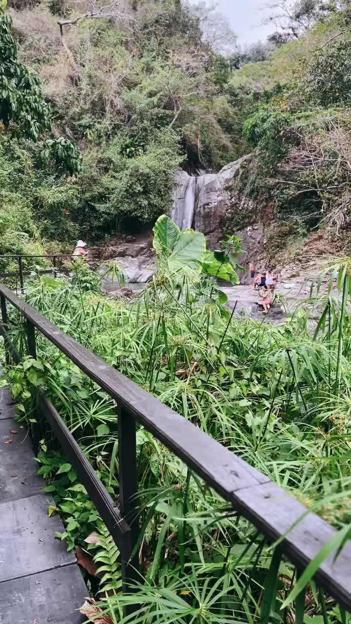 hermosa cascada en la jungla con puente de madera