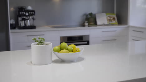 Contemporary-modern-kitchen-and-White-stone-top-bench