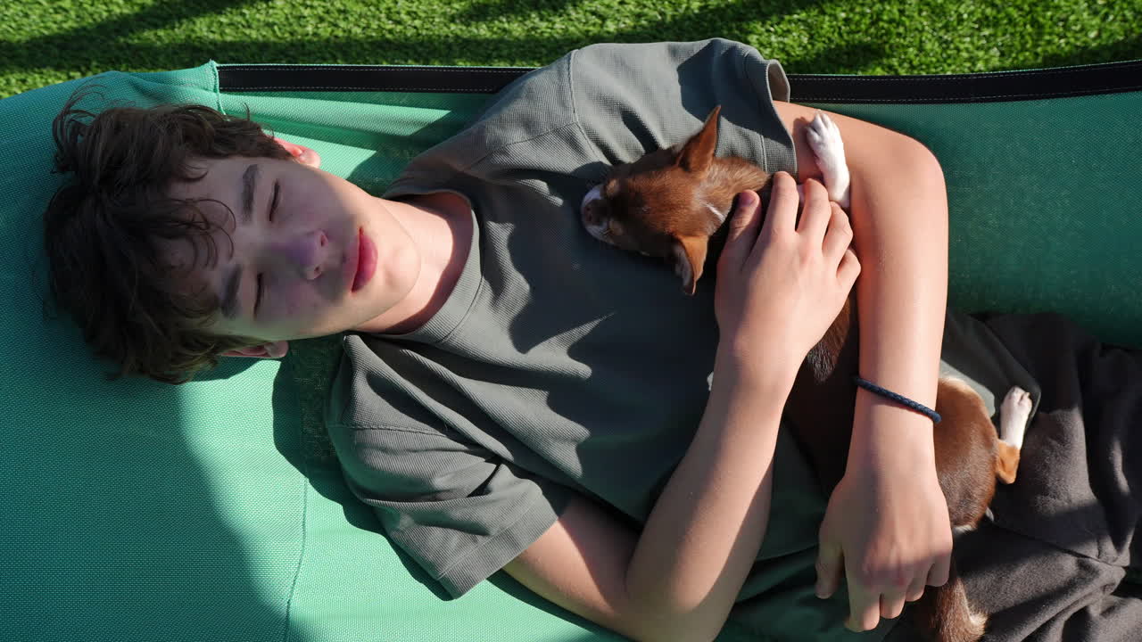 Top view of a peaceful teenager resting with tiny chihuahua companion, sharing tranquil summer moment on garden camping cot, embodying serene bond of friendship and comfort