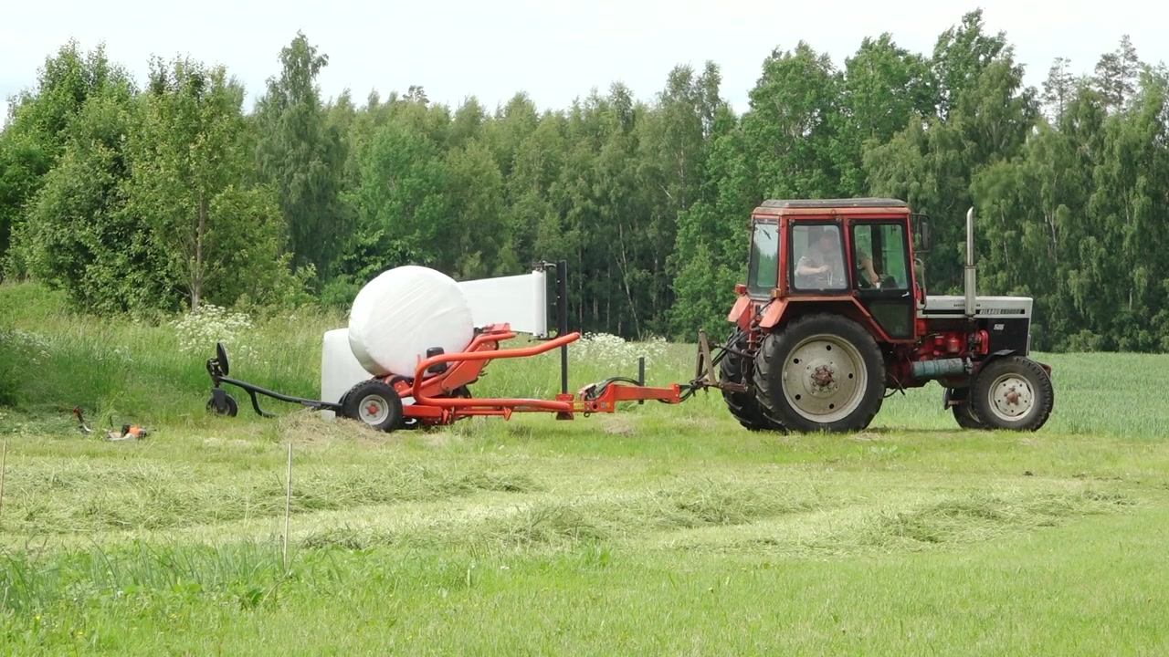 Un vecchio trattore traina una fasciatrice per balle attraverso un campo di erba tagliata, avvolgendo una balla di fieno rotonda in plastica bianca, con una fitta foresta verde sullo sfondo.